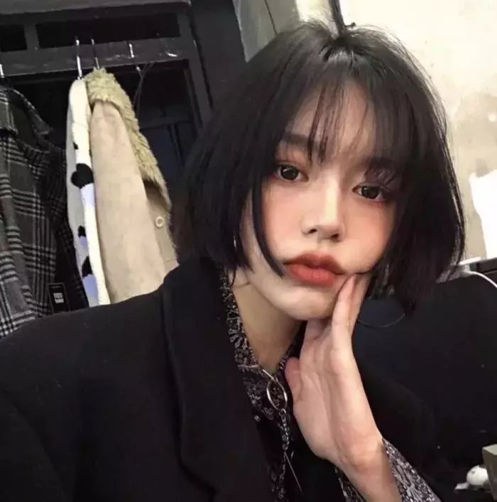 每天都在征服生活